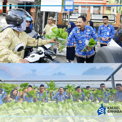 Wujud Nyata ketahanan pangan Dinas PKP Prov Kalsel Panen Sayur Hidroponik dan Bagikan langsung kepada Masyarakat